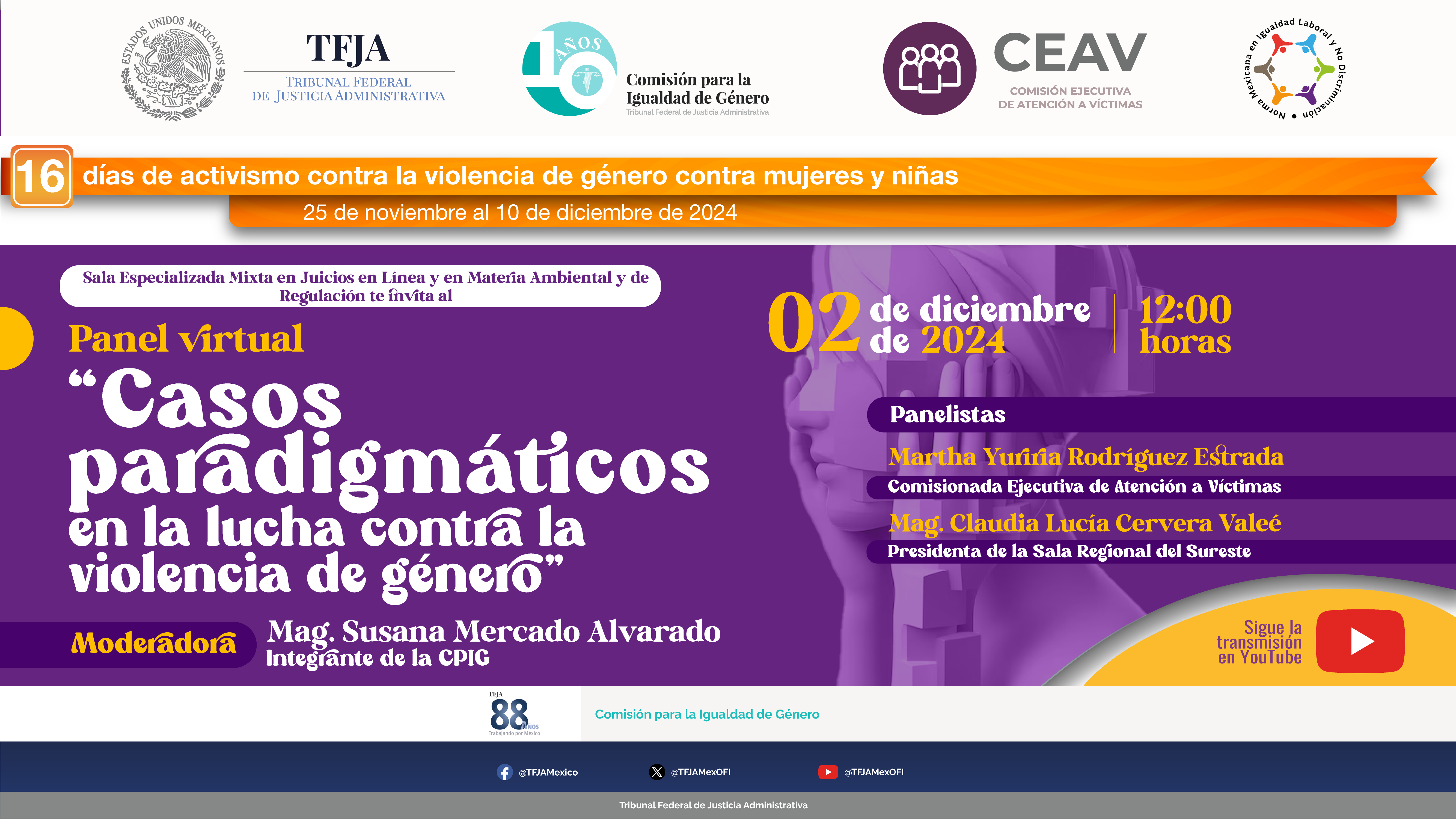 Panel Virtual “Casos paradigmáticos en la lucha contra la violencia de género” 