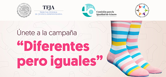 Diferentes pero Iguales