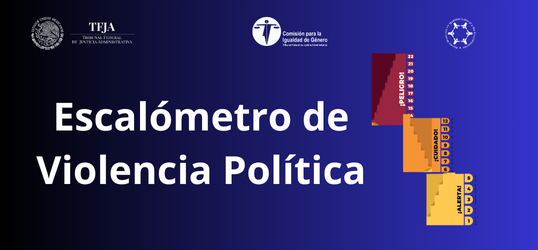 Escalometro de Violencia Política l