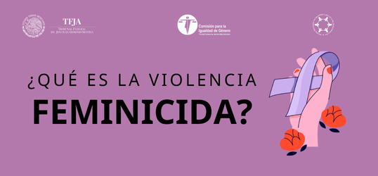 Violencia Feminicida