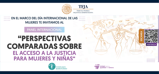 Panel internacional Perspectivas comparadas sobre el acceso a la justicia para mujeres y niñas