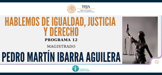 Entrevista a Pedro Martín Ibarra Aguilera