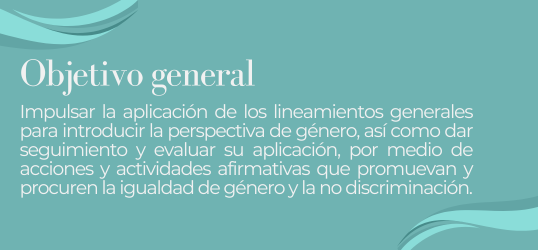 Identidad