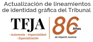 Identidad lineamientos