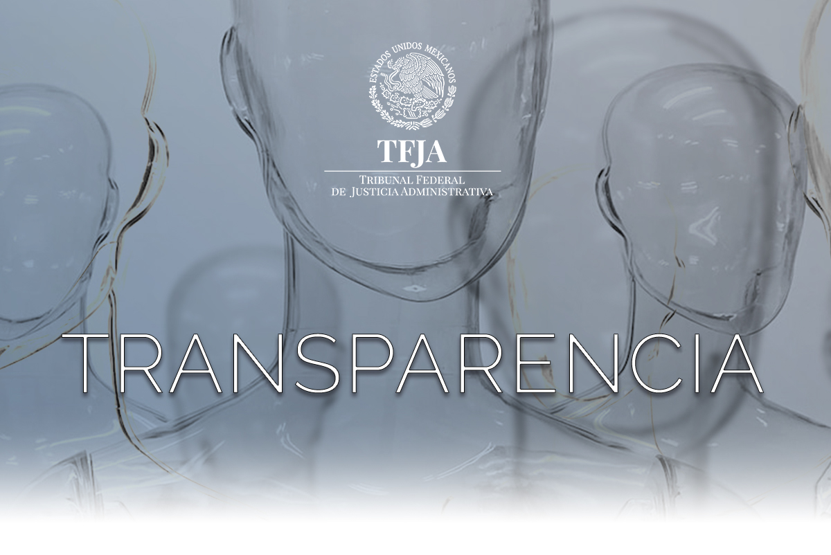 transparencia 1